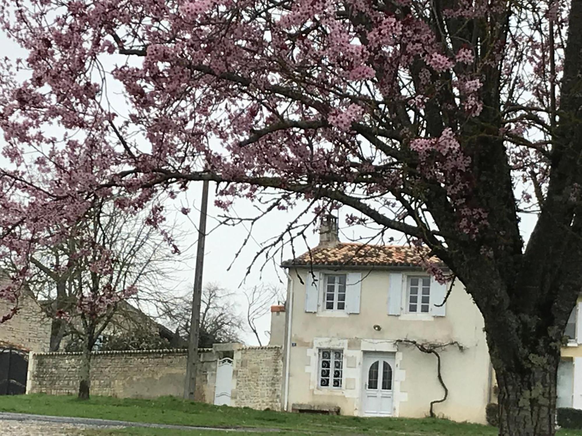 La Maison De Josephine Montignac-Charente Eksteriør bilde